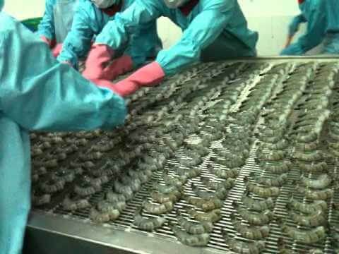băng chuyền thực phẩm