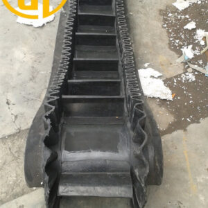 dây băng tải tai bèo