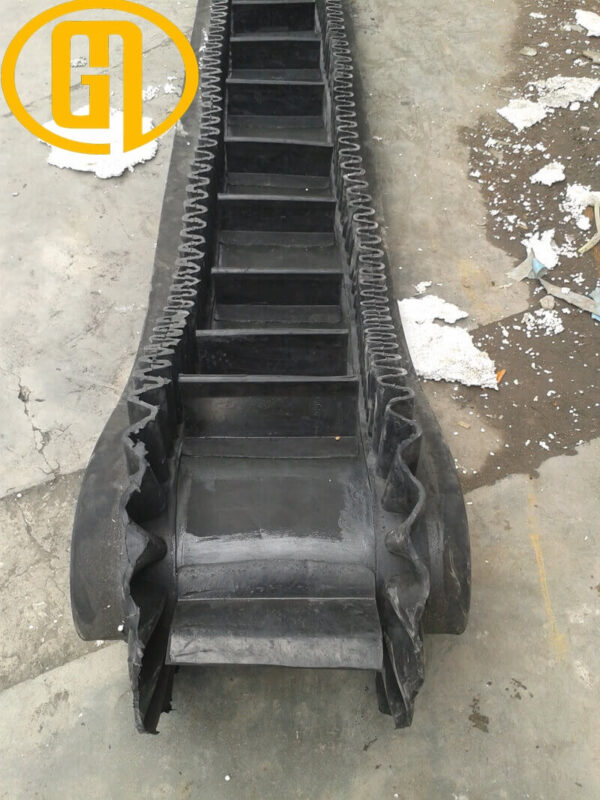 dây băng tải tai bèo